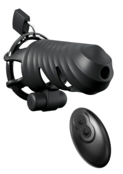 Fantasy C-Ringz Remote-Controlled Vibrating Cock Blocker - Black